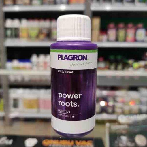 plagron power roots 50ml