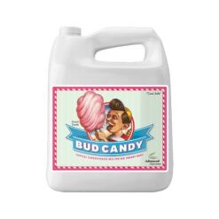 bud candy 5 litros