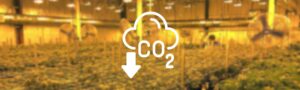 Como generar y controlar el CO2 en un cultivo interior