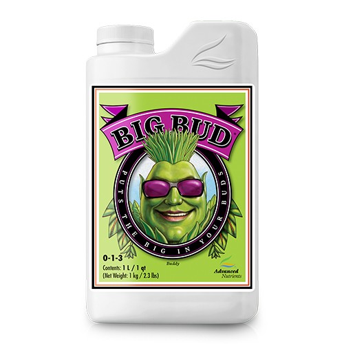 big bud liquido